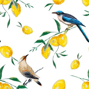 Summer, citrus ,lemon fruit pattern ,vintage birds 2