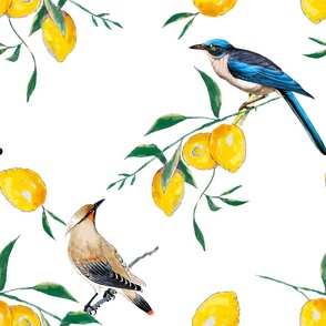 Summer, citrus ,lemon fruit pattern ,vintage birds 1