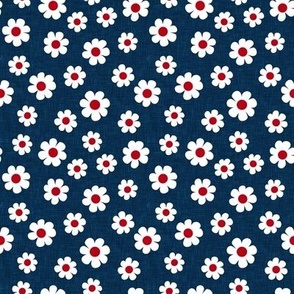 Daisies - Daisy Red White and Blue - LAD22