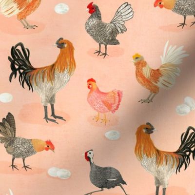 Chooks - pink {small}