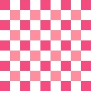 Paint pink on pink check small