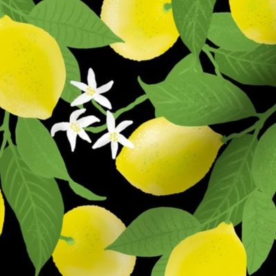 Lovely Lemon Grove, Black by Brittanylane