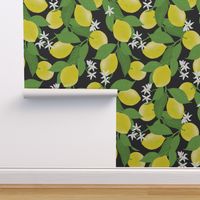 Lovely Lemon Grove, Black by Brittanylane