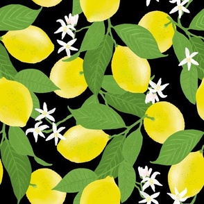 Lovely Lemon Grove, Black by Brittanylane