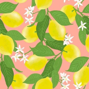 Lovely Lemon Grove, Coral Pink by Brittanylane