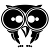 Owl_