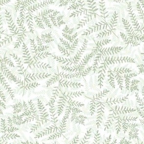 Fern Grotto Hand Painted West Coast Rainforest Ferns in Pastel Dusty Green Layers on a White Background