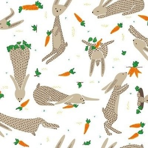 Rabbits and Carrots TOSSED