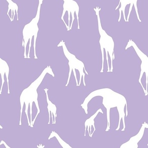 giraffe lilac