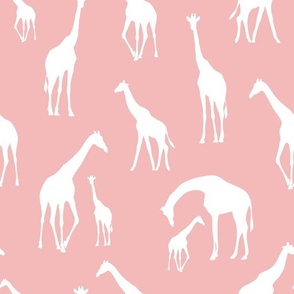 giraffe blush