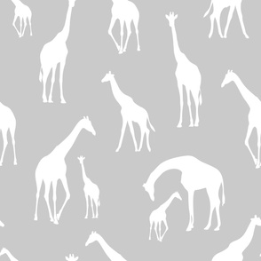 giraffe grey