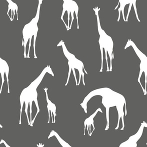 giraffe dark grey