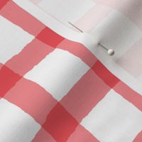 watercolor gingham in classic red