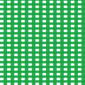 Green and White Gingham