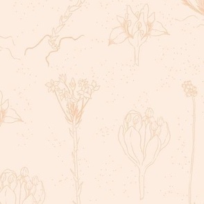 Herbarium plants  seamless pattern on pink background.