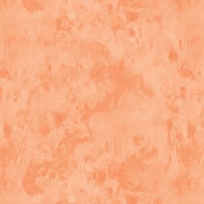 peach watercolor - nautical coordinate - LAD22