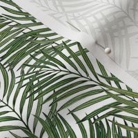 Palm Leaves - White