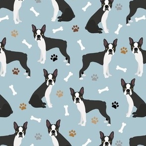 Boston Terrier Paws and Bones Blue