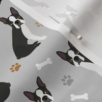 Boston Terrier Paws and Bones Gray