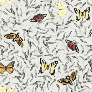 Butterfly Forest 