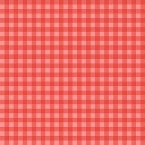 Red Gingham Coordinate
