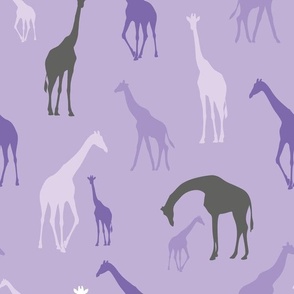 giraffe lilac purple and grey