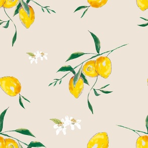 Summer, citrus ,lemon fruit,beige background  pattern 