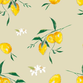 Summer, citrus ,lemon fruit pattern 