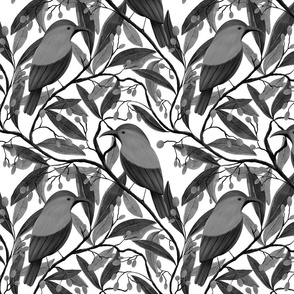 African monochrome sugarbird botanical (small)