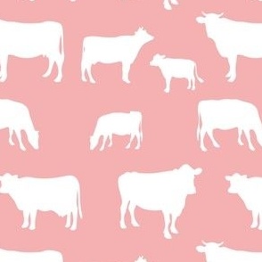small scale cow blush