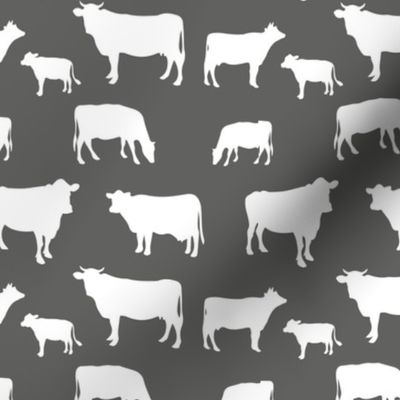 small scale farm cow grey
