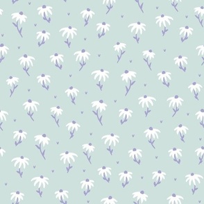 pastel echinacea flowers | cotton candy collection