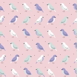 colorful birds | cotton candy collection