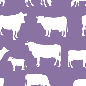 cow purple