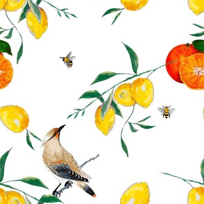 Summer, citrus ,lemon fruit pattern ,vintage birds