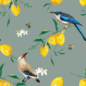 Summer, citrus ,lemon fruit pattern ,vintage birds