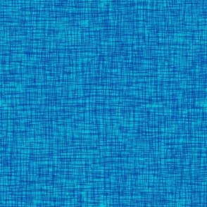 Scritch Scratch Textured Plaid in Blue