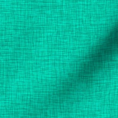 Scritch Scratch Textured Plaid in Light Aquamarine