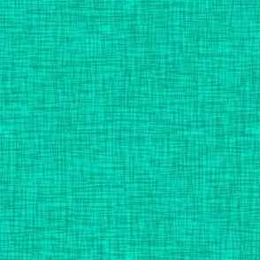 Scritch Scratch Textured Plaid in Light Aquamarine