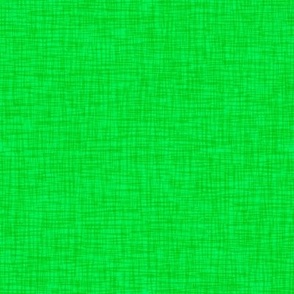 Scritch Scratch Textured Plaid in Lime Green - Created Especially for Quilters