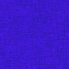 Scritch Scratch Textured Plaid in Violet