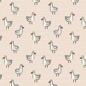 seagulls - summer cream/pink stripes - LAD22