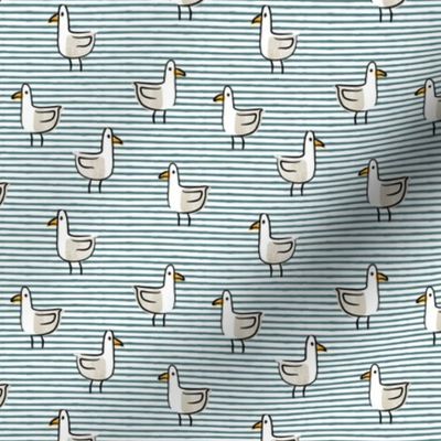 seagulls - summer teal stripes - LAD22