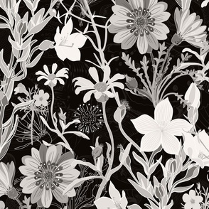 Wilderness of wonderful flowers in black and white. Lain Snow 