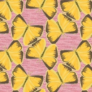 Butterfly Rush Hour on Pink