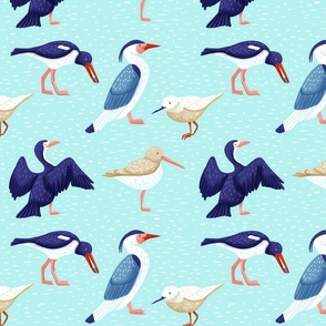 sea birds medium