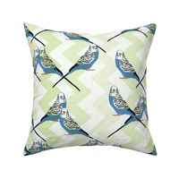 Parakeets Looking at You - Blue - Green Chevron Background