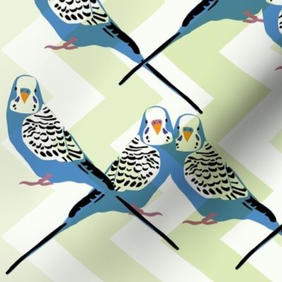 Parakeets Looking at You - Blue - Green Chevron Background