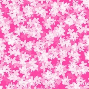 White Hydrangeas on Hot Pink