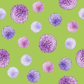 Allium Blooms - Dots